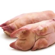 Pigs Feet