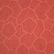 Blood-Draining Carpet