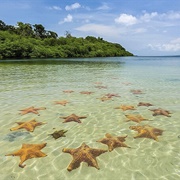 Starfish Beach - Bocas Del Toro