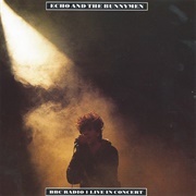 Thorn of Crowns - Echo and the Bunnymen