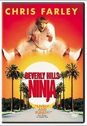 Beverly Hills Ninja (1997)