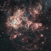 The Tarantula Nebula