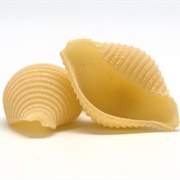 Conchiglie (Pasta Shells)