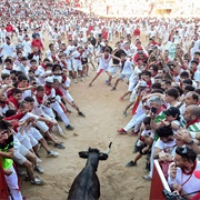 Pamplona, Spain (Running of the Bulls)