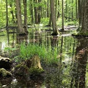 Tucker (Blacklick) State Nature Preserve