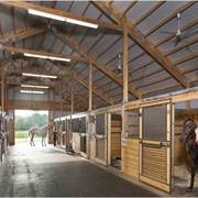 Horse Stable