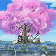 303. the Criminal Is Boss Luffy? Chase the Vanished Great Sakura Tree