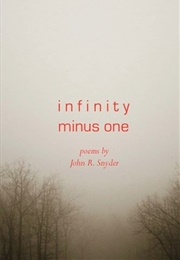 Infinity Minus One (John R. Snyder)