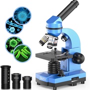 Microscope