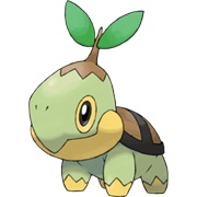 Turtwig