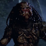 The Predator (Predator)