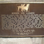 Plaque to Bummer &amp; Lazarus