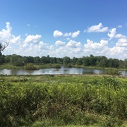 Stage&#39;s Pond State Nature Preserve