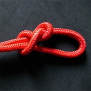 Knot