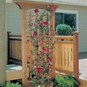 Trellis