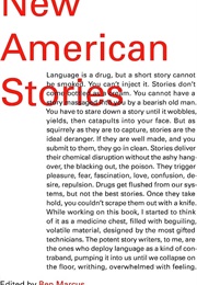 New American Stories (Ben Marcus)