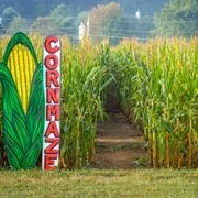 Been Lost in a Corn Maze