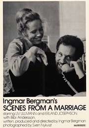 Scenes From a Marriage (Television Version) (1973)