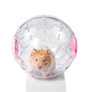 Hamster Ball