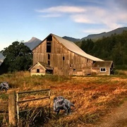 An Abandoned Farm in China