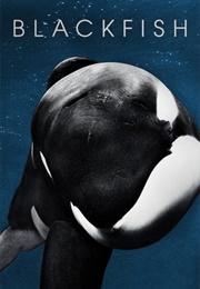 Blackfish - Orca Safety &amp; Welfare Legislation (2013)