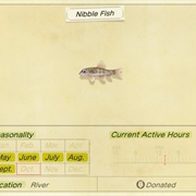 Nibble Fish