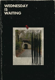 Wednesday Is Waiting (Donnie Goodman)