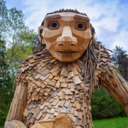 Bernheim Forest Giants