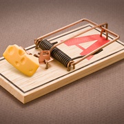 Mousetrap