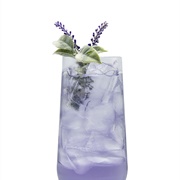 Lavender Soda