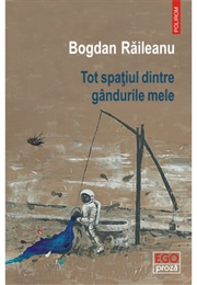 Tot Spatiul Dintre Gandurile Mele (Bogdan Raileanu)