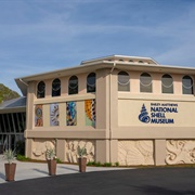 The Bailey-Matthews National Shell Museum