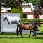 Irish National Stud and Gardens, Kildare, Ireland