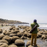 Bowling Ball Beach