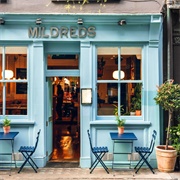 Eat at Mildred&#39;s Veggie Restaurant