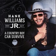 Heaven Can&#39;t Be Found - Hank Williams, Jr.