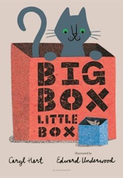 Big Box Little Box (Caryl Hart)