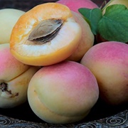 Armenian Apricot (Armenia)