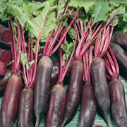 Long Beets