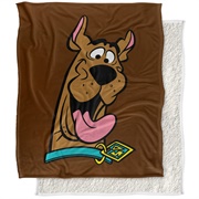 Scooby-Doo Blanket