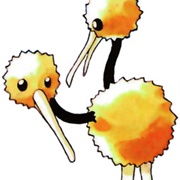 #0084 Doduo