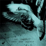 Vic Chesnutt - North Star Destroyer