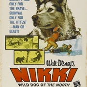 Nikki, Wild Dog of the North