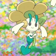 Floette