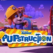 Pupstruction