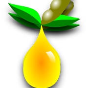 Soya Oil