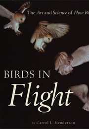 Birds in Flight (Carrol L Henderson)