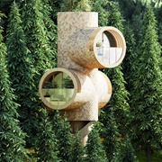 The Pipe Tree House