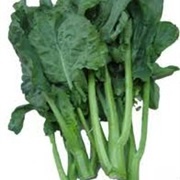 Chinese Broccoli