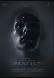 Perfect (2009)